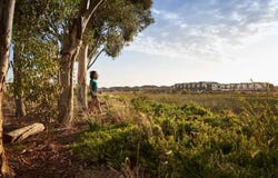 17 Tottori Road, Truganina, Vic 3029