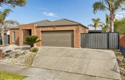 9  Waldburg Grove, Tarneit, Vic 3029