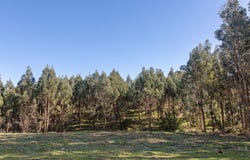 Lot 2, 751 Rookery Road, Winkleigh, Tas 7275