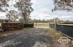 40 Catarrh Creek Road, Torrington, NSW 2371