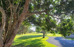 1126 Pottsville Road, Pottsville, NSW 2489