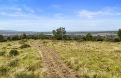 110 Hartz Road, Iredale, Qld 4344