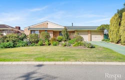 6 Harrier Place, Yangebup, WA 6164