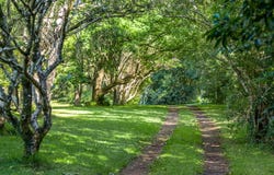 191 Fletcher Road, Dunoon, NSW 2480