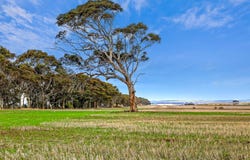 Lot 1 Thompson Road, Maude, Vic 3331