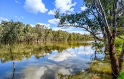 113 - 131 Augusta Street, Corowa, NSW 2646