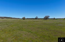 3449 Wyuna Road, Mullaley, NSW 2379