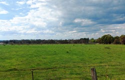 506 Noalimba Avenue, Kentucky, NSW 2354
