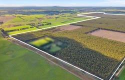 Cnr Hamilton-Port Fairy Road and Lyons Road, Byaduk, Vic 3301