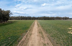 193 McPhillamys Lane, Forbes, NSW 2871