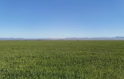 'Forbes's' Wilmington Road, Hammond, SA 5431