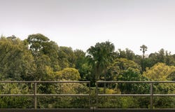 8 Gordon Street, Elsternwick, Vic 3185