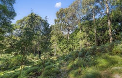 35 Ben Nevis Circuit, Bundanoon, NSW 2578