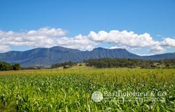 Niebling Road, Tarome, Qld 4309