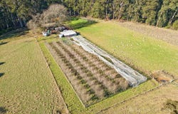 160 David Hill Road, Monbulk, Vic 3793