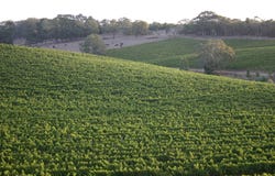 11 Woodlands Road, Kenton Valley, SA 5233