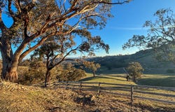 160 Kiernans Road, Bonnie Doon, Vic 3720