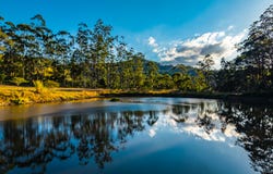 193 Petsch Creek Road, Tallebudgera Valley, Qld 4228