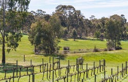 213 Mia Mia Road, Newstead, Vic 3462