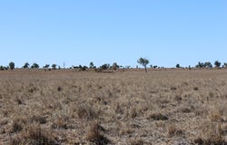 Blackwater Rolleston Road, Rolleston, Qld 4702