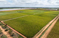 190 Delite Way, Red Cliffs, Vic 3496