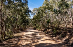 318 White Cedars Road, Mudgee, NSW 2850