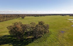 27 & 27A Ziebells Road, Euroa, Vic 3666