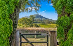 689 The Bucketts Way, Stroud Road, NSW 2415