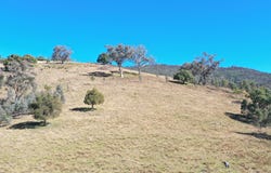 1022 Danglemah Road, Limbri, NSW 2352
