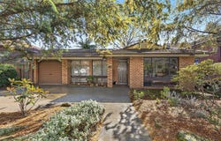 97 Victoria Avenue, Chatswood, NSW 2067