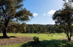 4 Robertson Avenue, Castlemaine, Vic 3450