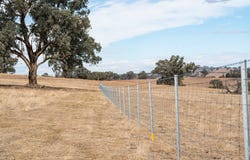 181 & 227, 31 Hillside Road, Moorwatha, NSW 2640