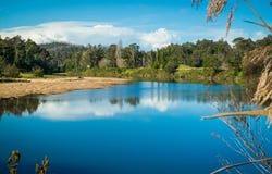 1167 Princes Highway, Kiah, NSW 2551