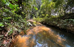 502 Lake Barrine Road, Malanda, Qld 4885