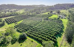428 Shadbolt Road, Mothar Mountain, Qld 4570