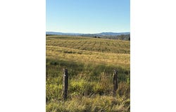 1556 Old Lawrence Road, Deep Creek, NSW 2469
