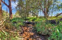 238 Ball Road, Peeramon, Qld 4885
