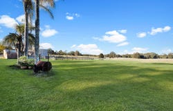 530 Steveys Forest Road, Oakdale, NSW 2570