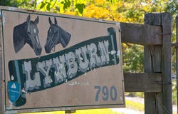 790 Mongogarie Road, Mongogarie, NSW 2470