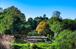 737 Fernleigh Road, Brooklet, NSW 2479