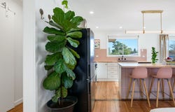 11 Medea Street, St Helens, Tas 7216