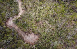 Lot 77 Pacific Drive, Deepwater, Qld 4674