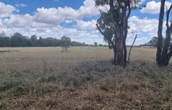 9 Everton Road, Gilgandra, NSW 2827