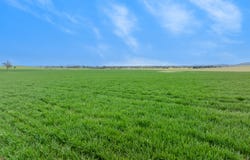 47 Price Road, Ballyrogan, Vic 3375