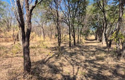 254 Oolrui, Kununurra, WA 6743