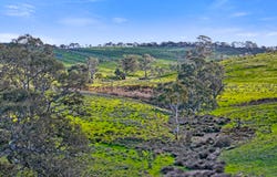 Lot 1240-1242 Falkai Road, Highland Valley, SA 5255