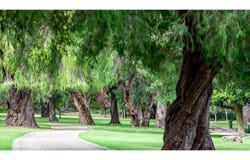 Lot 376, Yanchep Junction, Yanchep, WA 6035