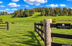 Bowral, NSW 2576