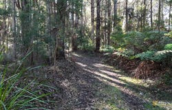 318 Old Ocean Road, Glenaire, Vic 3238