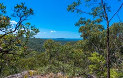 2965 Orara Way, Kremnos, NSW 2460